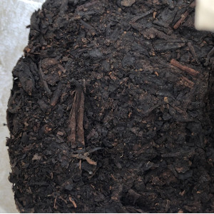 Шу пуэр Lao Bang Zhang 2008 год блин 357 г. Photo 3